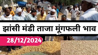 झांसी मंडी में मूंगफली भाव क्या रहा ? Jhansi Mandi today mungfali bhav, 28 December #jhansi