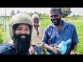 കൊടും കാടിനുള്ളിലെ പച്ചയായ ജീവിത കാഴ്ചകൾ keralagram malayalamvlog ooty