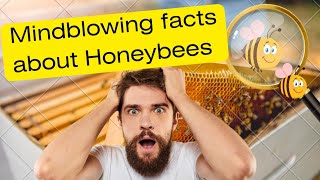 Honeybees | Unbelievable Facts About Honey Bees You Never Knew