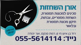 אורן השחזות- השחזת מספריים