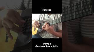 Pampa #ronroco #music #argentina #latinoamerica