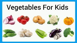 Vegetables For kids/Vegetables/ukg evs vegetables/Vegetables for Kindergarten/Preschool/lkg/ukg