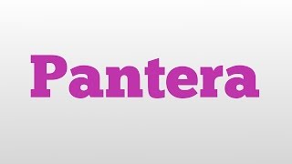 Pantera meaning and pronunciation