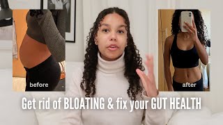 HEAL YOUR GUT & GET RID OF BLOATING FAST | Effective Tips To Improve your digestion