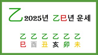 2025년 을사년 을일간 일주별 운세 ㅣ 이제 준비는 끝내고 밖으로 나가야할 때입니다