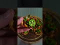 Wonton Tacos #shorts #cheflife #cooking #foodie #tacos #tacobell #foodlover #cookingvideo #cooks