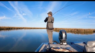 Your Livescope is Destroying the Sport of Fishing