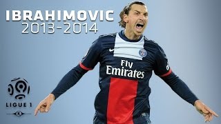 Zlatan Ibrahimovic - All Goals in 2013-2014 (1st half) - PSG