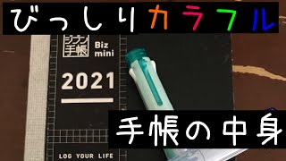 【中身ビッシリ】ジブン手帳の色分けと中身晒すよ！