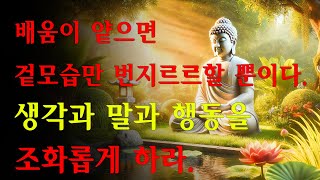 석가모니 명언 | 인생조언ㅣ똑똑한 사람은 숨기고 어리석은 자는 자랑하는 것 | 굳어버린 뇌에서 말랑한 뇌로 돌아가는 방법 | 게으름과 무기력 끊어내는 너무 간단한 방법 |불교 부처