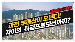 마용성 잡은 과천 다음은?? Feat.과천자이