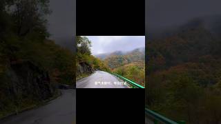 中国陕西山区秦岭太白路醉人秋色（一）#roadtrip#mountainview