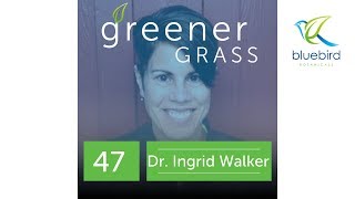 Dr Ingrid Walker - The Study of Drugs