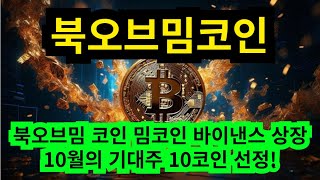 북오브밈 코인 밈코인 바이낸스 상장 10월의 기대주 10코인 선정!