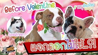 Before Valentine แจกดอกไม้ให้..?!  #หนูต้องไหวนะลูก