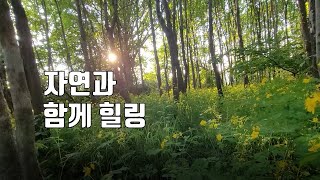 석양에 비치는 작은 숲속 새소리와 꽃들의 파티