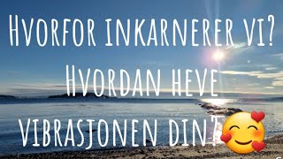 Hvorfor er vi her på jorden ?Hvordan gi slipp på frykt og heve vibrasjonen din?Møt din guide. 🩷