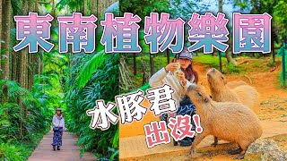 沖繩景點~東南植物樂園，成群的水豚君出沒~大人小孩都愛的親子景點