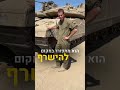 המונחים הסודיים של שריון נחשפים צה״ל