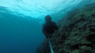 (sumbawaadventour.com) sumbawa \u0026 freedive (Tanjung Munangis)