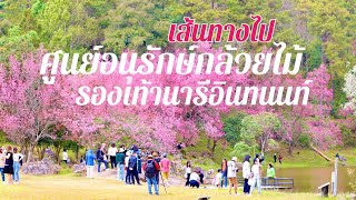 รีวิวเส้นทางไปโครงการอนุรักษ์พันธุ์กล้วยไม้รองเท้านารีอินทนนท์ l JourneyEverywhere