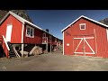 nusfjord walk asmr nature sounds in lofoten norway