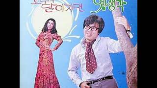 이수미  -  비가 내린다 (1972)