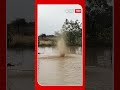 dharashiv rain in dharashiv water sprays from closed borewells in fields