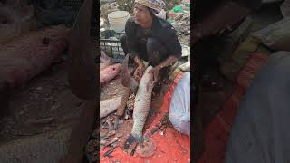 Fastest Big Fish Easy Cutting Method In Local Fish Market #shorts