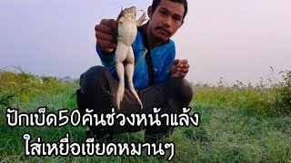 ปักเบ็ด50คันช่วงหนัาแล้ง ใส่หยื่อเขียดหมานๆ | บ่าวนัทวิถีใต้Channel