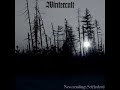 wintercult the somber end