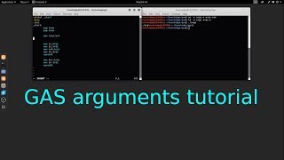 GAS x64 GNU Assembler arguments tutorial in Linux