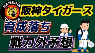 阪神タイガース、戦力外予想【11名程に通告⁉︎】【野手陣大幅入れ替えも】