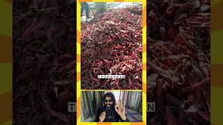 🤮കടന്നൽ കൂട് ആവാഹിച്ചത്#food #funny