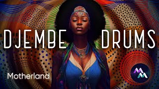 African Music - DJEMBE, Drumming, Afrobeats - African Relaxing Music Full HD