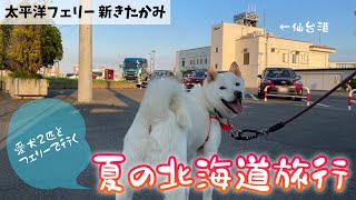 【愛犬2匹とフェリーで行く夏の北海道旅行！！】仙台港周辺おすすめスポット🐕♡【太平洋フェリー・新きたかみ⛴】