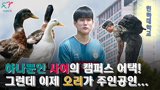 [출장 스마홍!] EP.01 캠퍼스 어택 in 인하대학교