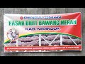 harga bibit bawang merah 16-03-2022