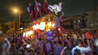 平野郷夏祭り2024 【市町】南港通り だんじり 九町合同曳行 2024.7.12