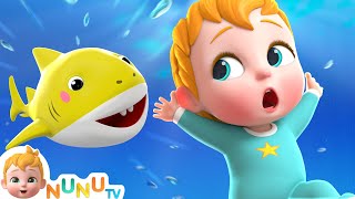 Baby Shark Song | Nursery Rhymes & Kids Songs | NuNu Tv Baby Songs
