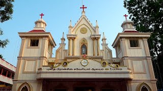 🔴நேரலை 01.10.2023 | Special Mass | St.Francis Xavier Church, Uppalam, Puducherry.