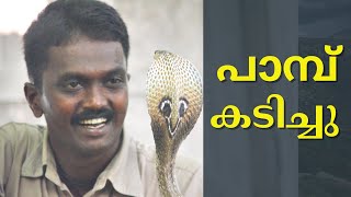 പാമ്പ് കടിച്ചു | vava suresh snake bite #shorts