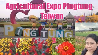 屏東熱帶農業博覽會 Agricultural Expo #village #taiwan