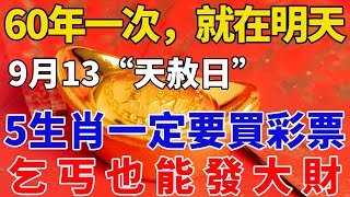 60年一次，就在明天！9月13“天赦日”，這5個生肖一定要買彩票，乞丐也能發大財，尤其這個屬相！【般若之音】#生肖 #運勢 #風水 #財運