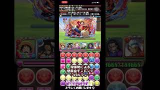 パズドラ 復帰勢によるワンピースコラボ 懸賞金チャレンジ VSルフィ