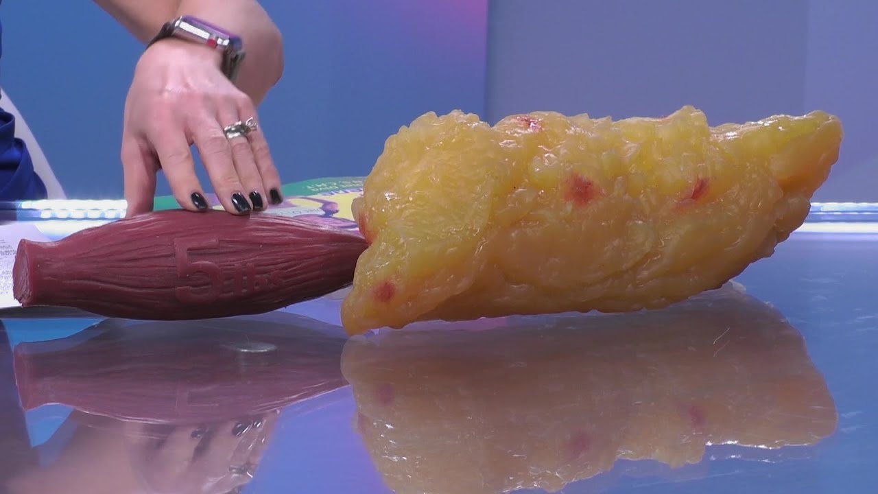 What Does 7 Pounds Of Fat Look Like? The 13 Detailed Answer ...