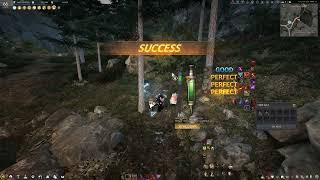 BDO: Snowfield cedar sap rotation