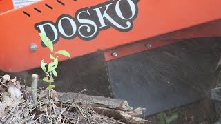 Is the Dosko 691-20E Right For you? Watch The Dosko Go Through Stumps Of All Sizes. FFE#8