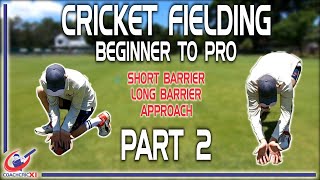 Cricket Fielding Guide - Part 2: Approach, Long Barrier and Short Barrier