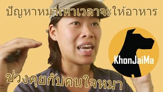 ช่วงคุยกับ Khon Jai Ma | ปัญหาหมาเห่าเวลาจะให้อาหาร